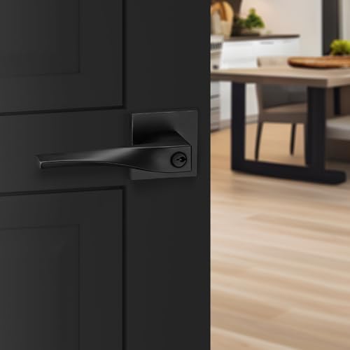 Berlin Modish Sleek Series Entry Lever Door Handle Set Reversible Iron Black