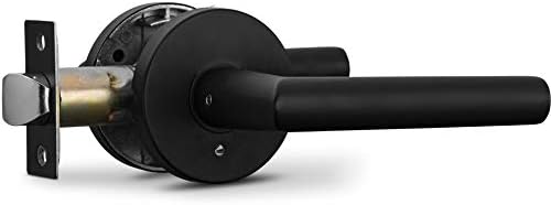 Berlin Modish Privacy Lever Door Handle
