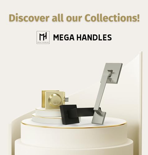 Modern Privacy Door Knob - Laura I