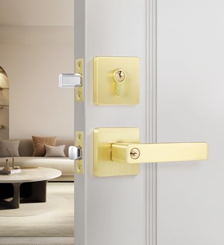Leydebong Entry Door Handle Set