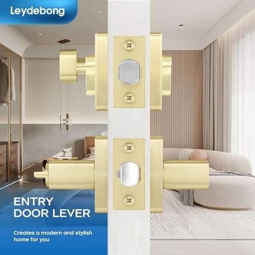 Leydebong Entry Door Handle Set