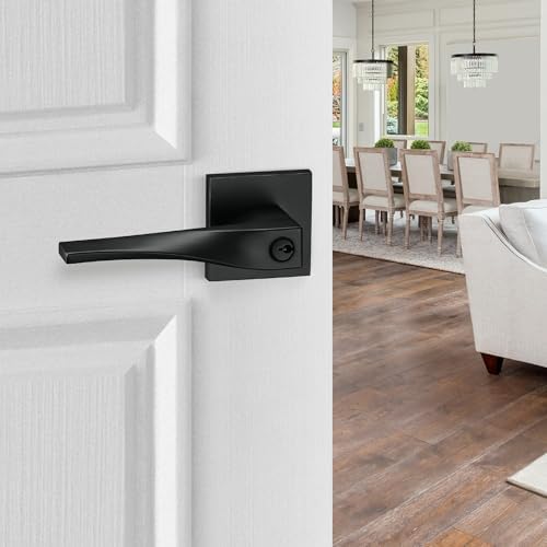 Berlin Modish Sleek Series Entry Lever Door Handle Set Reversible Iron Black