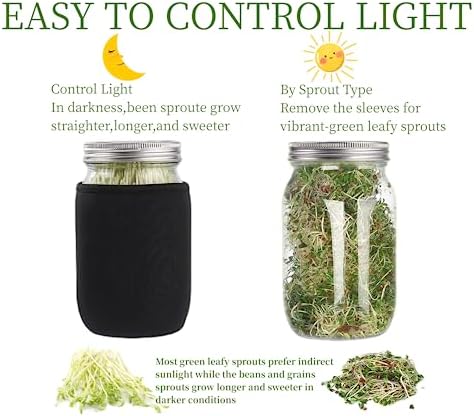 Lulonpon Perfect Sprout Kit