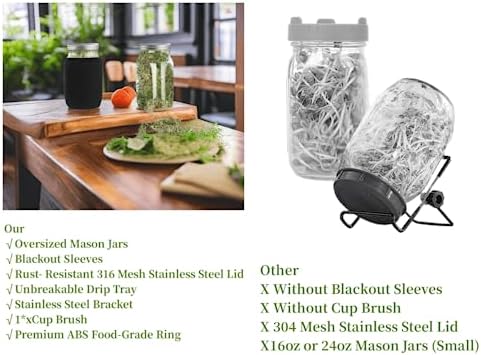 Lulonpon Perfect Sprout Kit