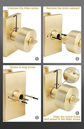 GoldenWarm Front Entry Door Lock Set