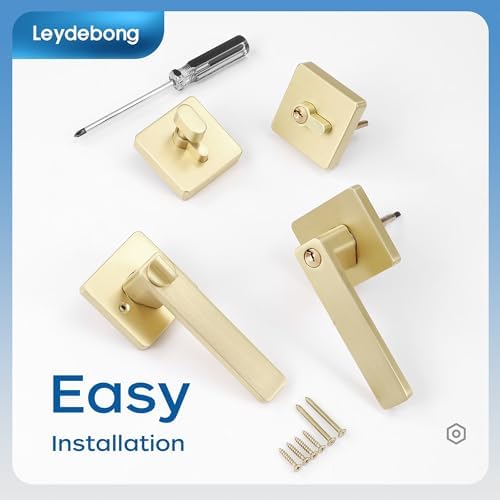 Leydebong Entry Door Handle Set