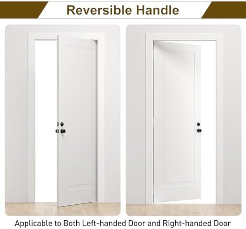HOSOM Entry Door Knob Set Matte Black 1-Pack