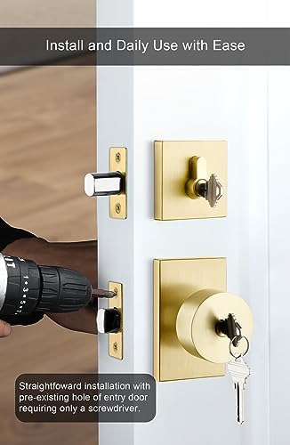 GoldenWarm Front Entry Door Lock Set