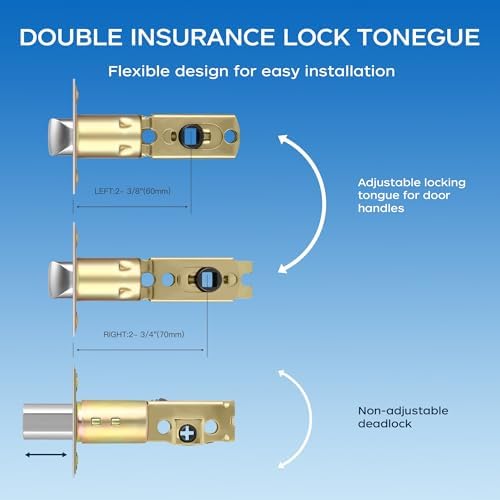 Leydebong Entry Door Handle Set