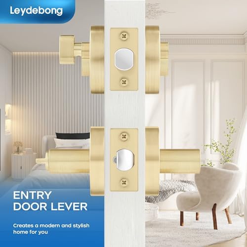 Secure Gold-Plated Door Handle Set