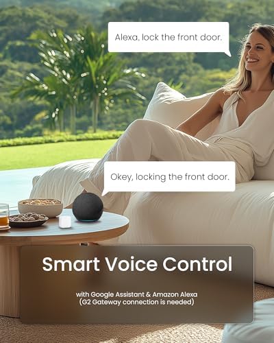 Secure Your Home with the Smart Door Lock