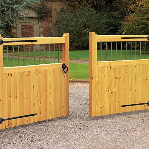 DIYWorld 18-Inch Black Door Hinges