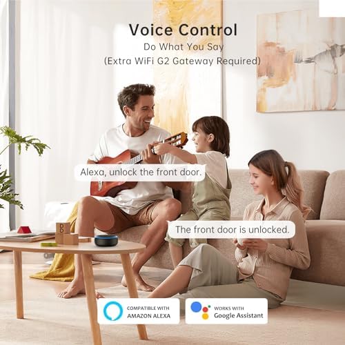 Smart Deadbolt Smonet
