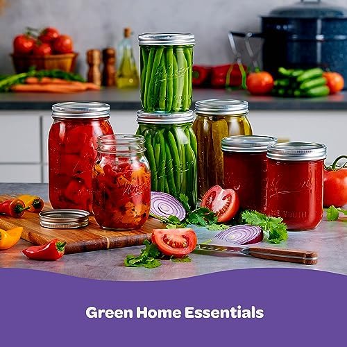 SEWANTA 4-Pack Mason Jars