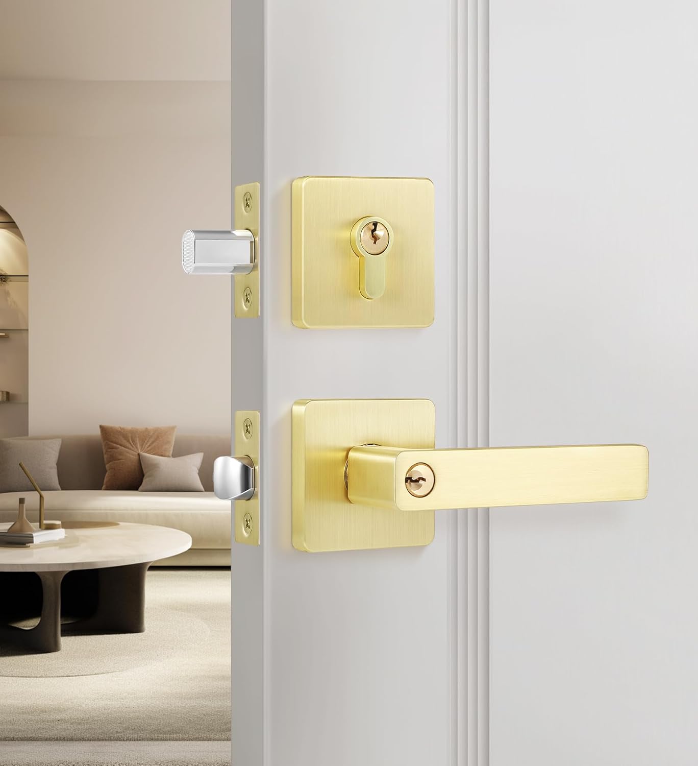 Leydebong Entry Door Handle Set