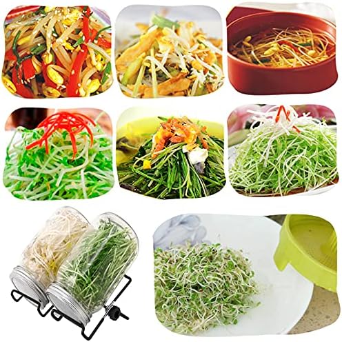 Lulonpon Perfect Sprout Kit