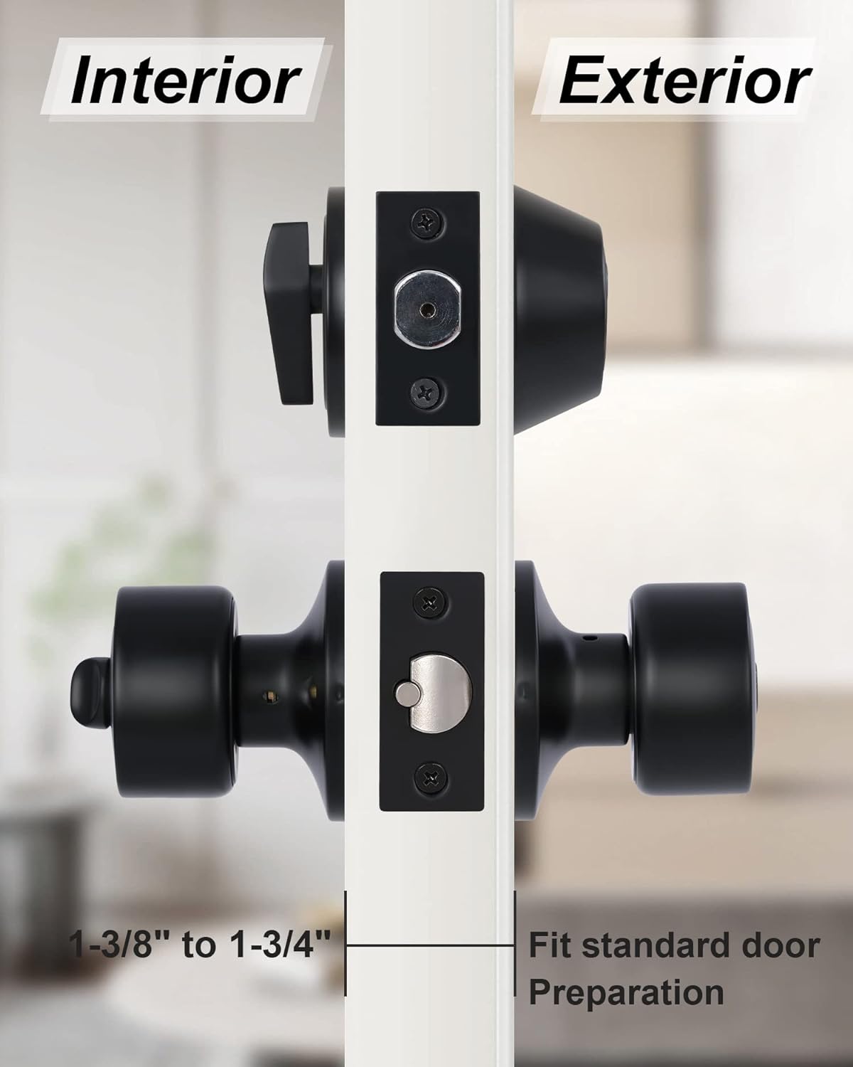 Secure and Modern Entry Door Set