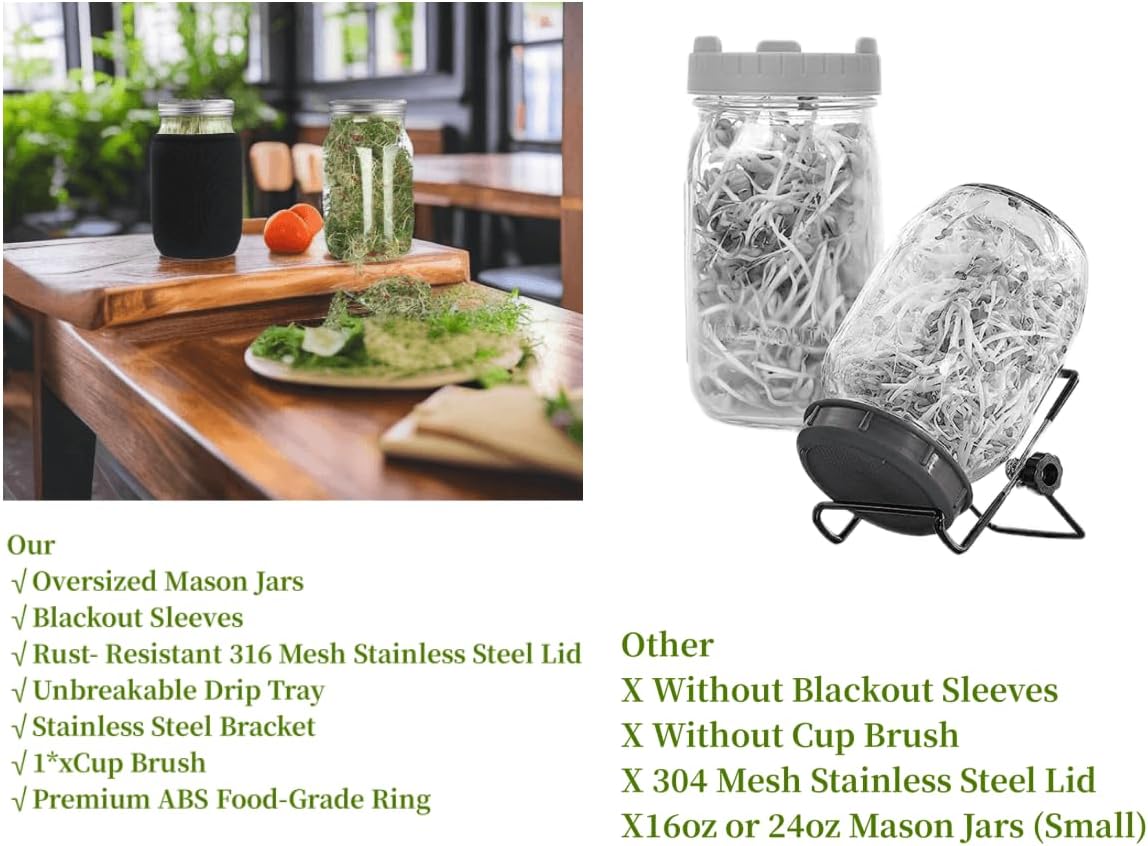 Lulonpon Perfect Sprout Kit
