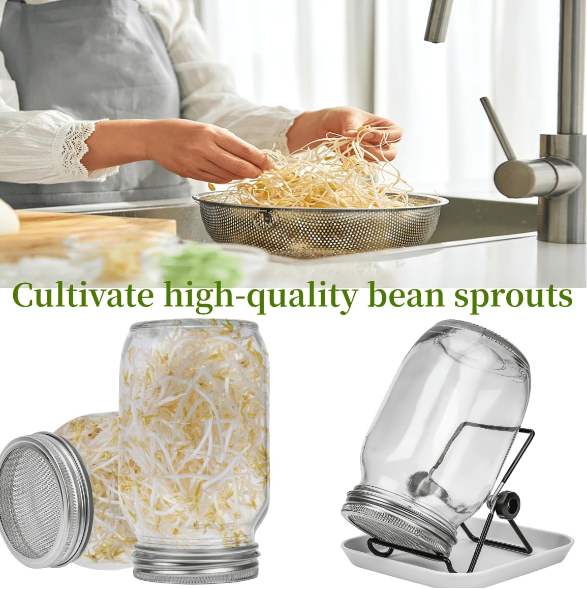 Lulonpon Perfect Sprout Kit