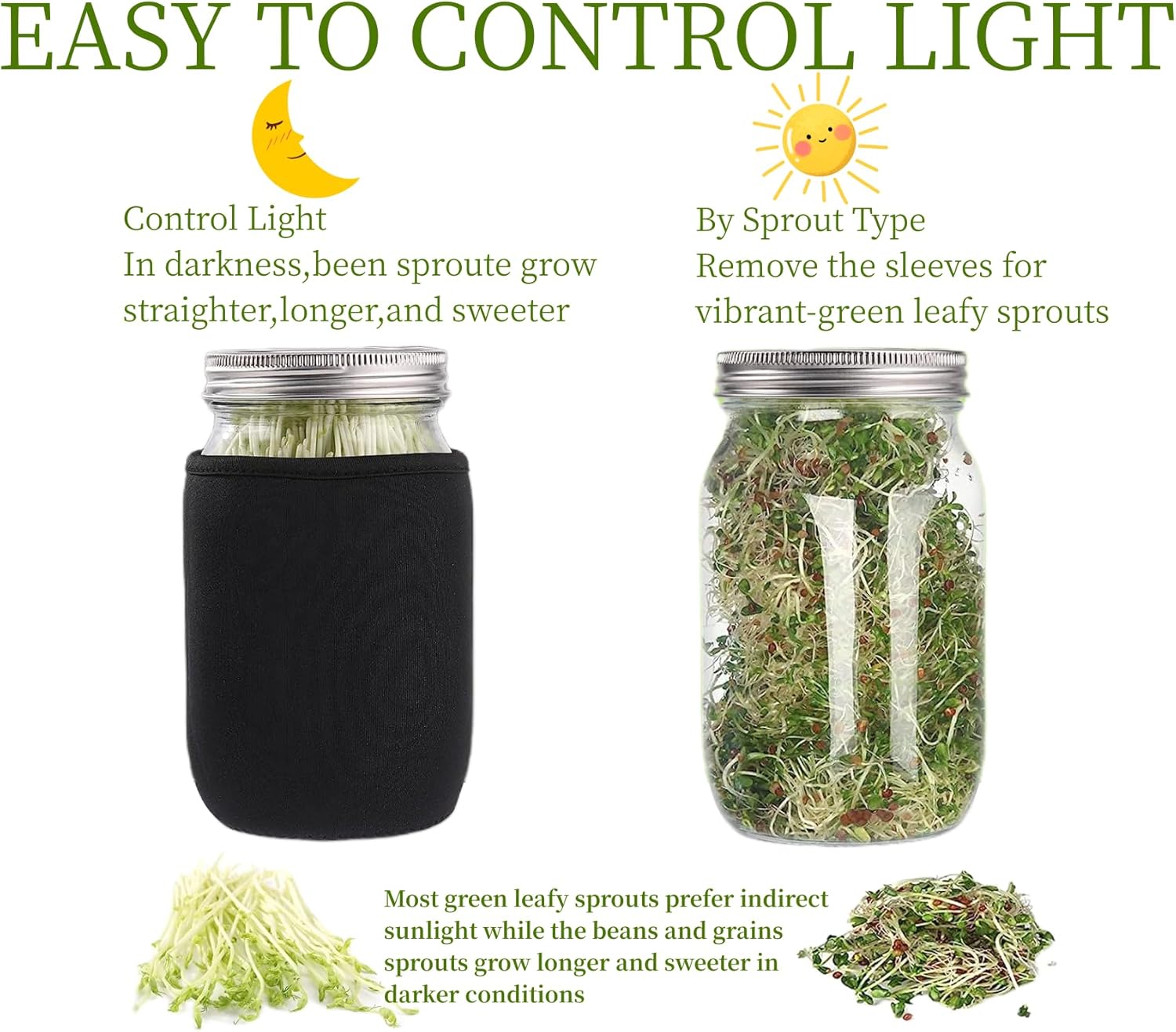 Lulonpon Perfect Sprout Kit