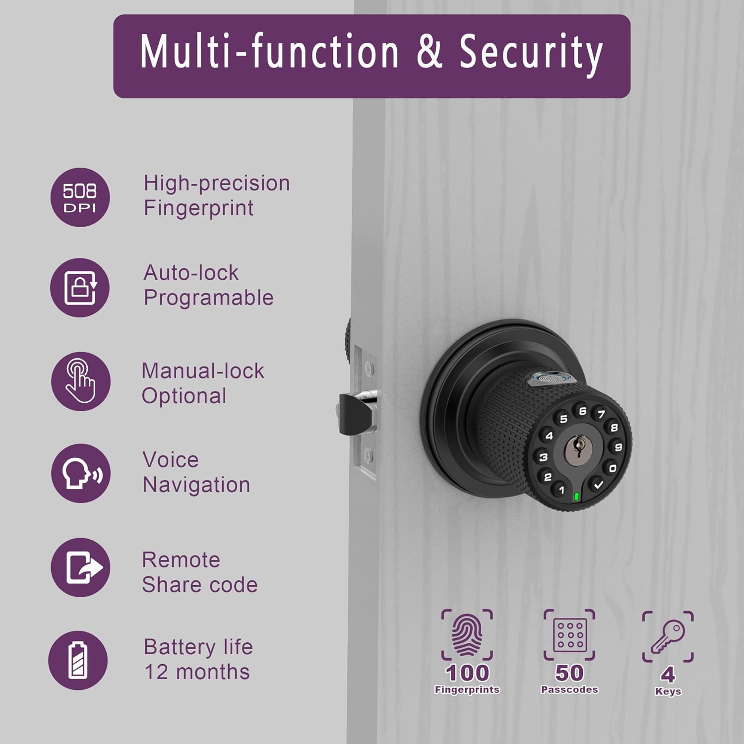 Two-Way Door Security with Fingerprint Keypad Entry