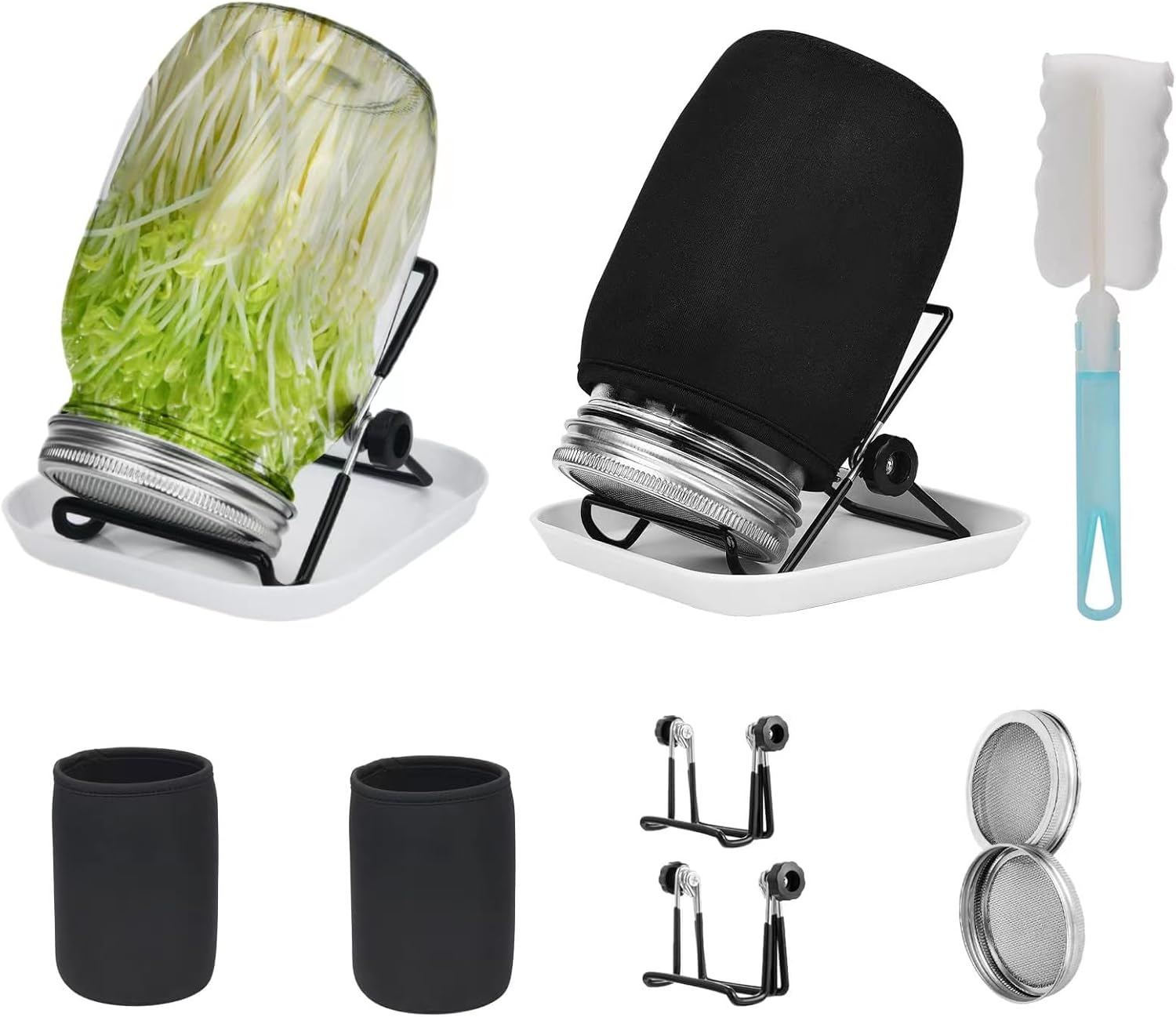 Lulonpon Perfect Sprout Kit