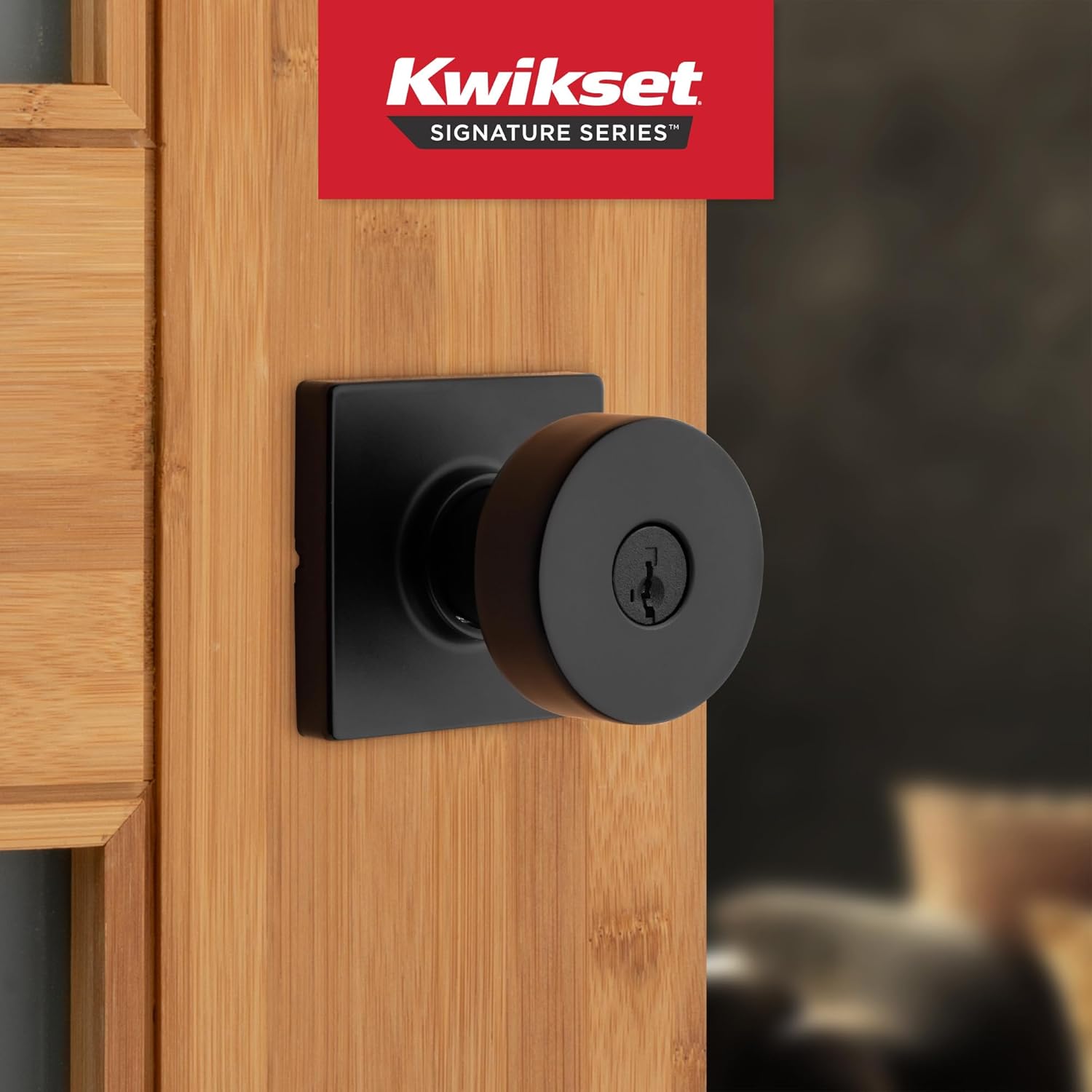 Kwikset Pismo Entry Door Knob - Heavy Duty Secure Entry Knob