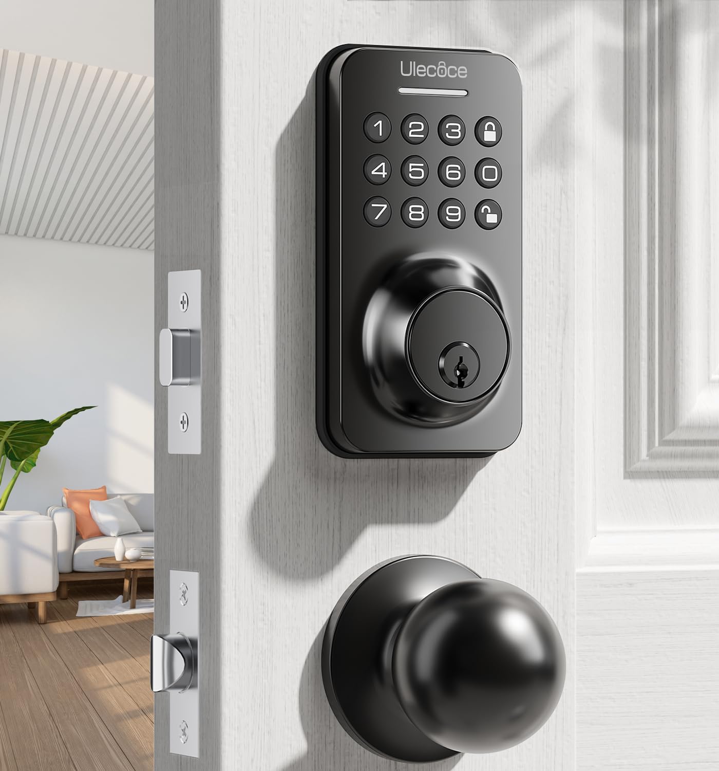 Ulecoce Smart Entry Door Lock Set