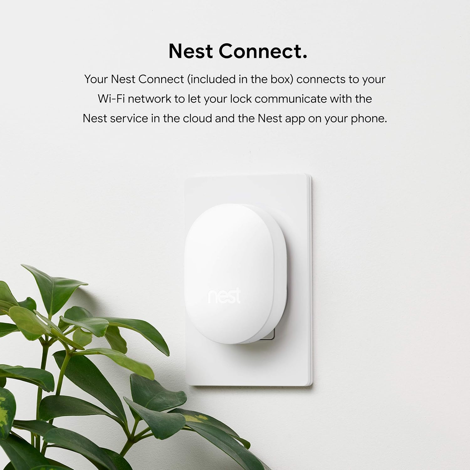 Google Nest Yale Smart Lock - Secure Front Door Entry