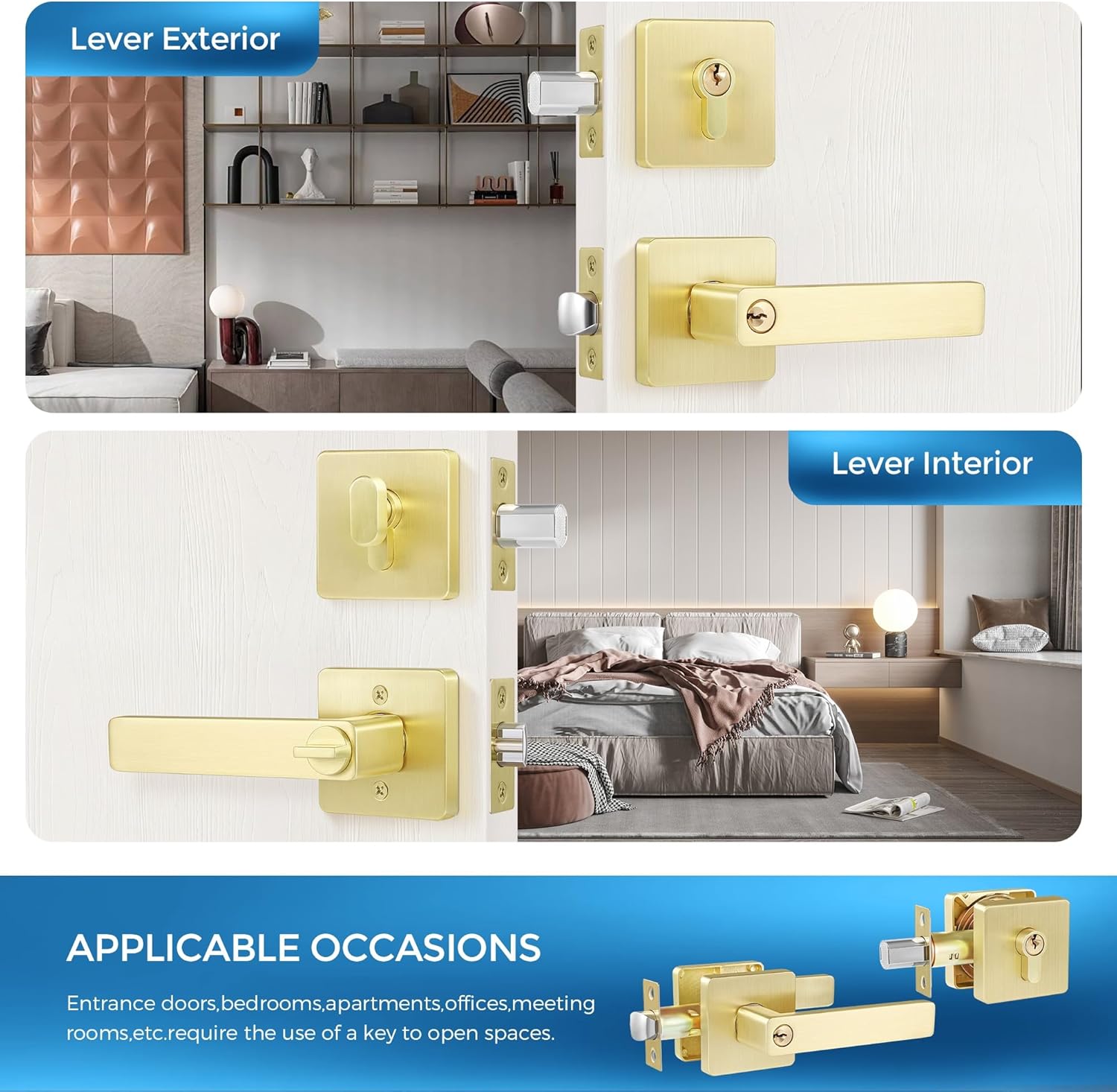 Leydebong Entry Door Handle Set