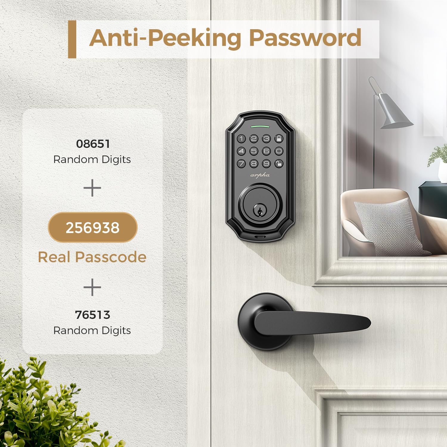 Keyless Front Door Lock Set with App Control